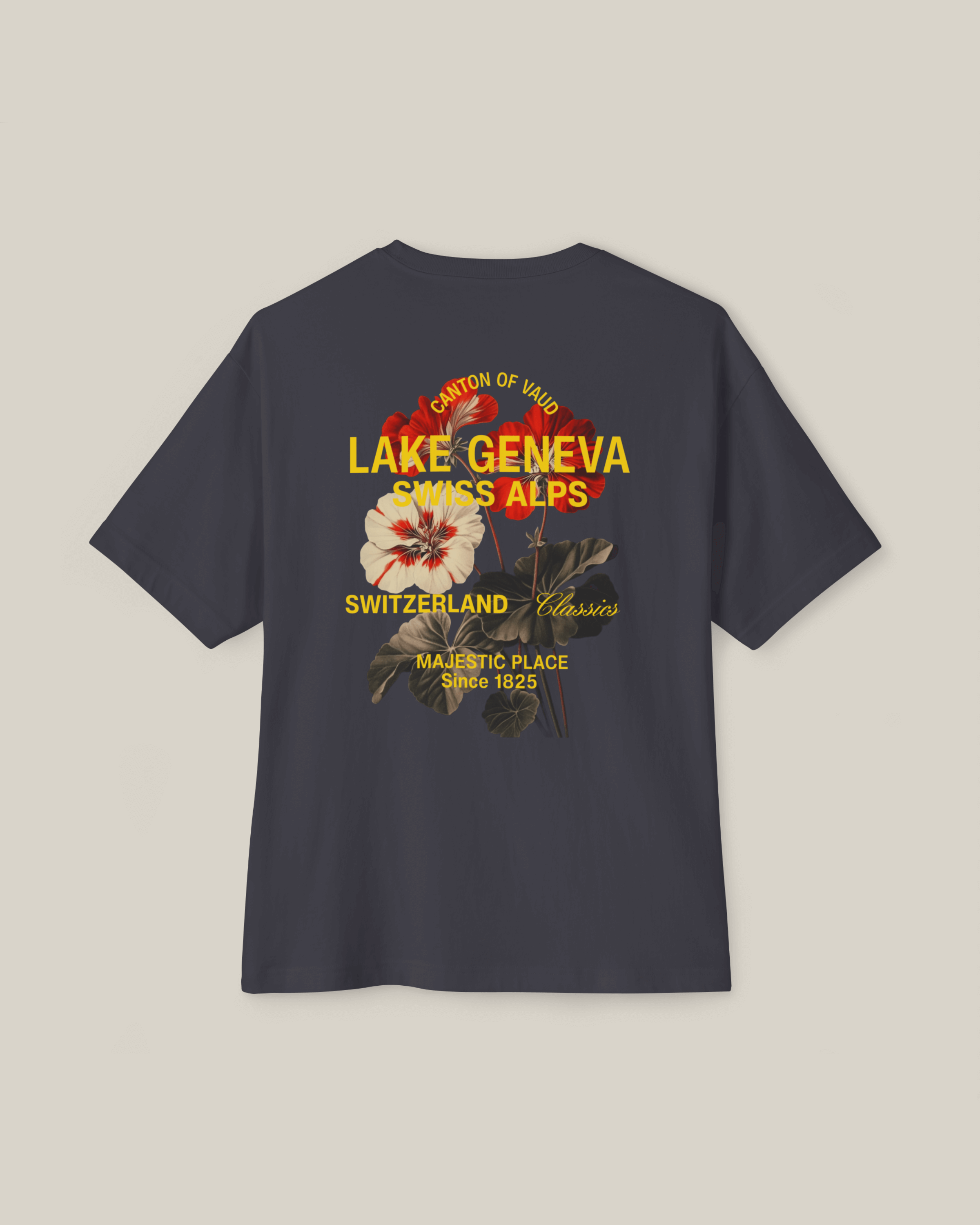 Taily Swiss Alps Vintage Boxy T-Shirt – Dark Grey