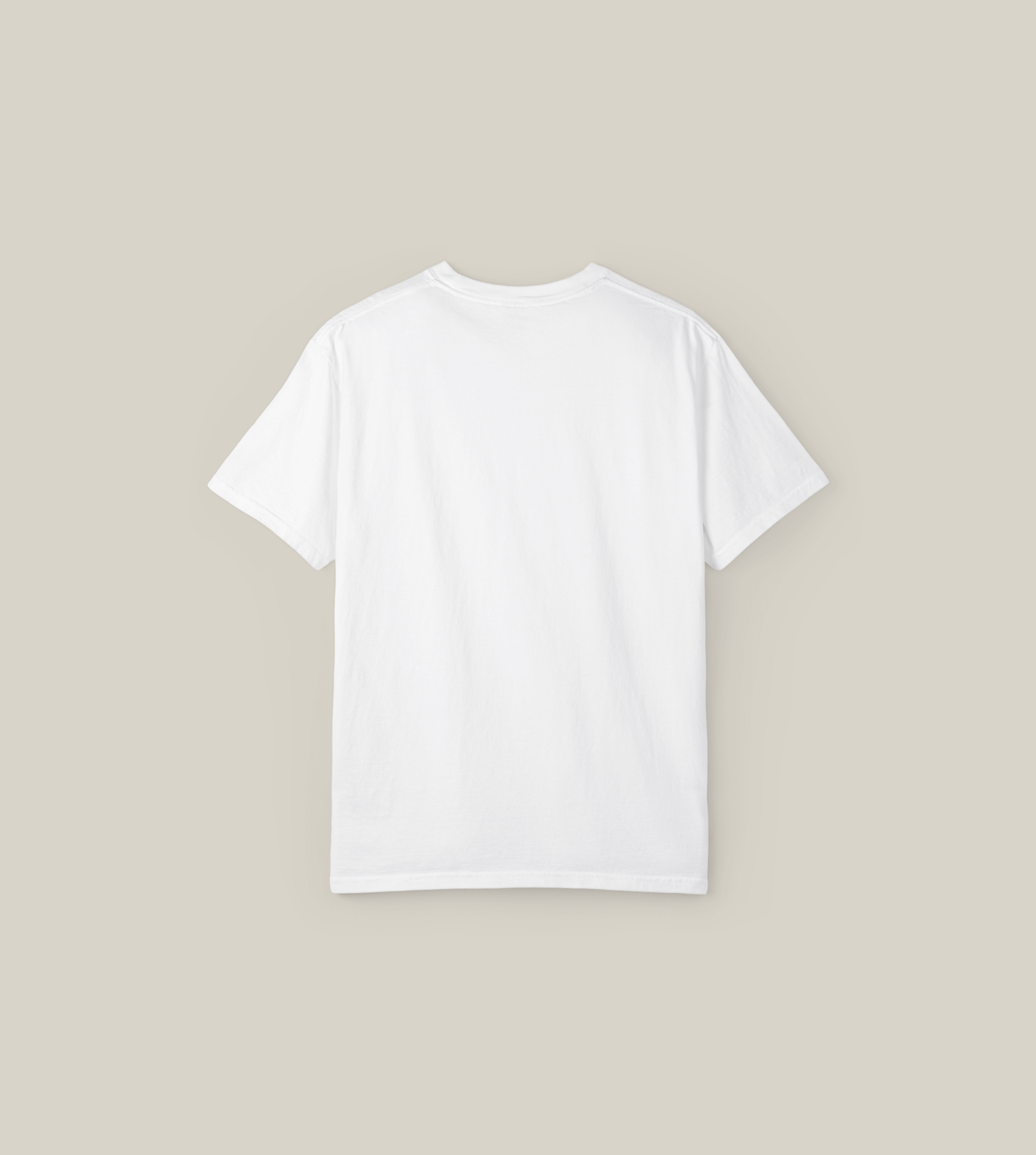 Back view of the Taily Jet Splash Streetwear Graphic T-Shirt in white, showcasing its simple and classic design.