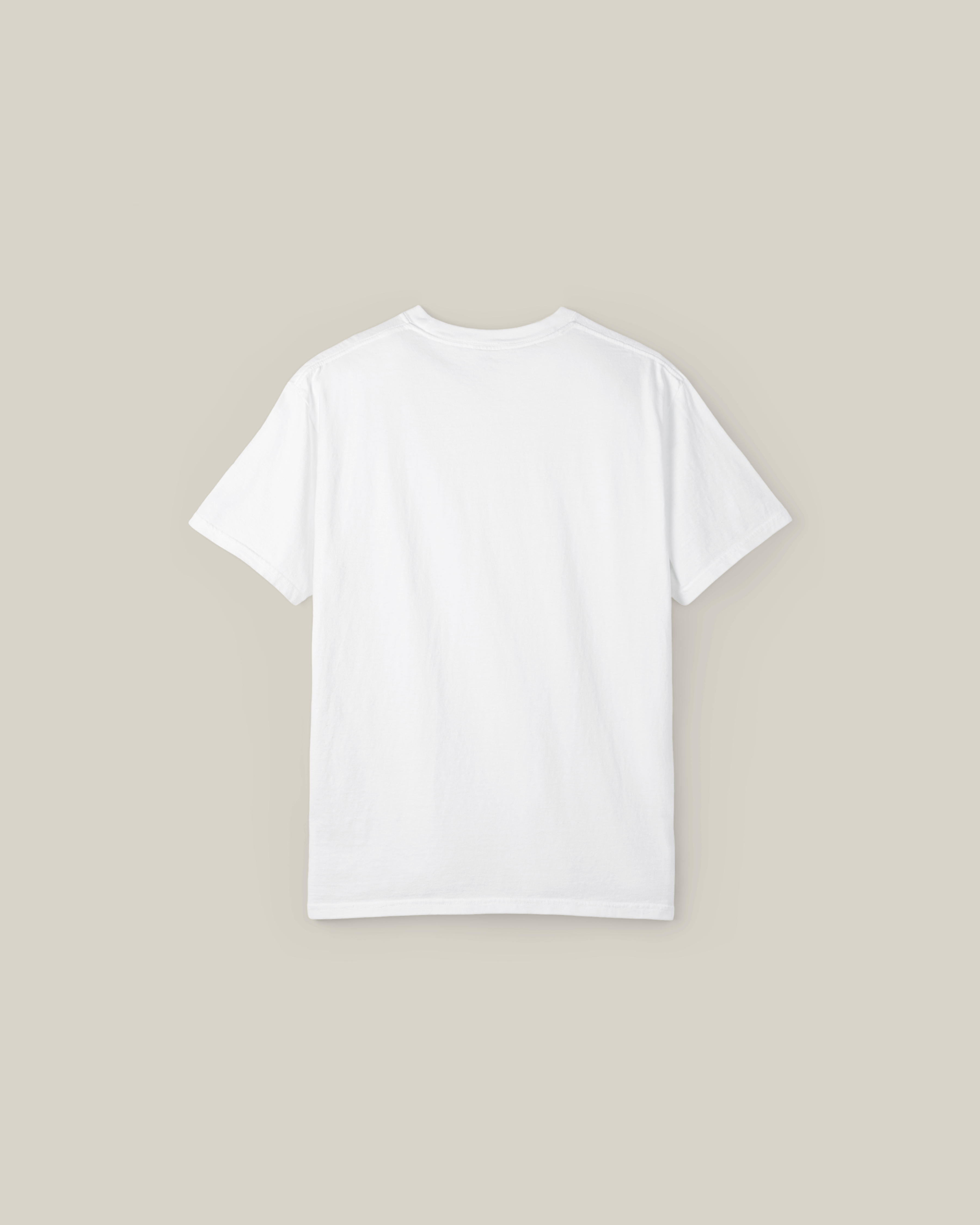 Back view of Taily Street Scene Graphic Tee, a comfortable white streetwear t-shirt for urban style.