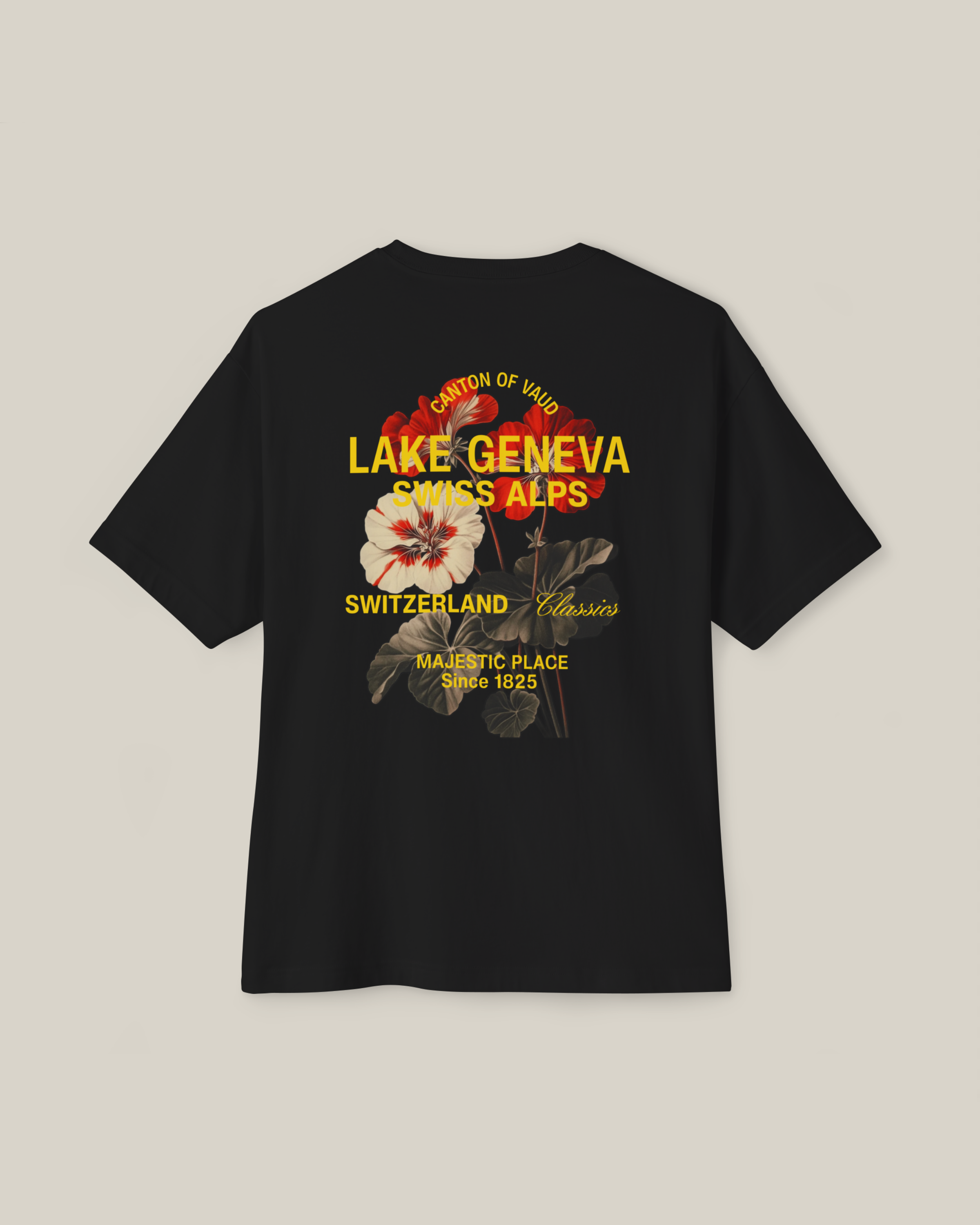 Taily Swiss Alps Vintage Boxy T-Shirt – Black