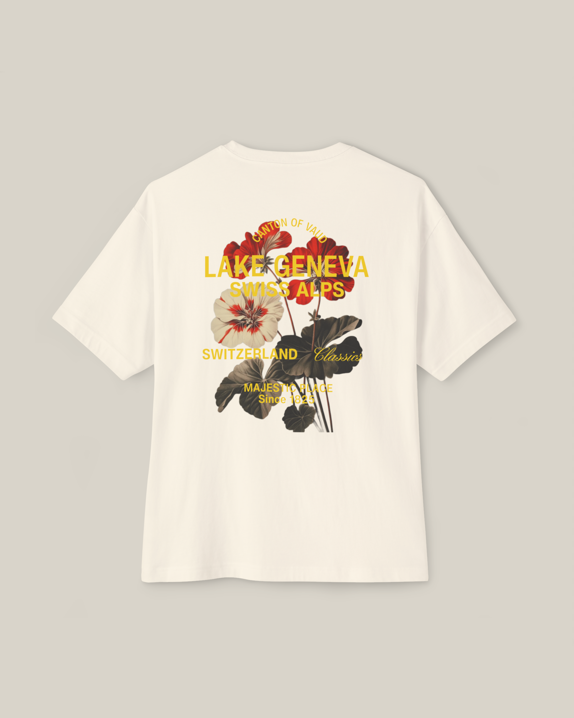 Taily Swiss Alps Vintage Boxy T-Shirt – Natural