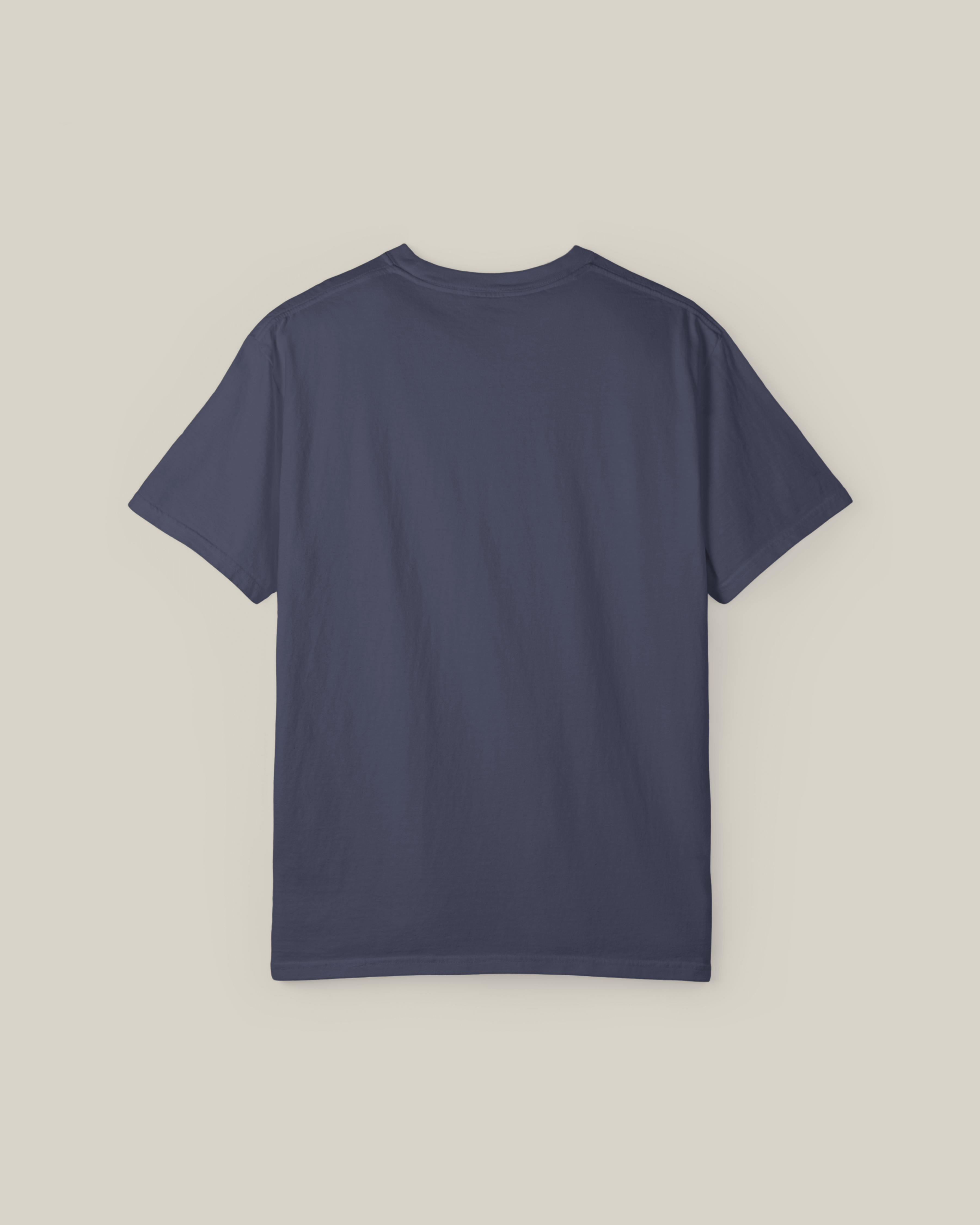 Back view of Taily Street Rebel graphic tee in denim, showcasing streetwear graphic t-shirt style.