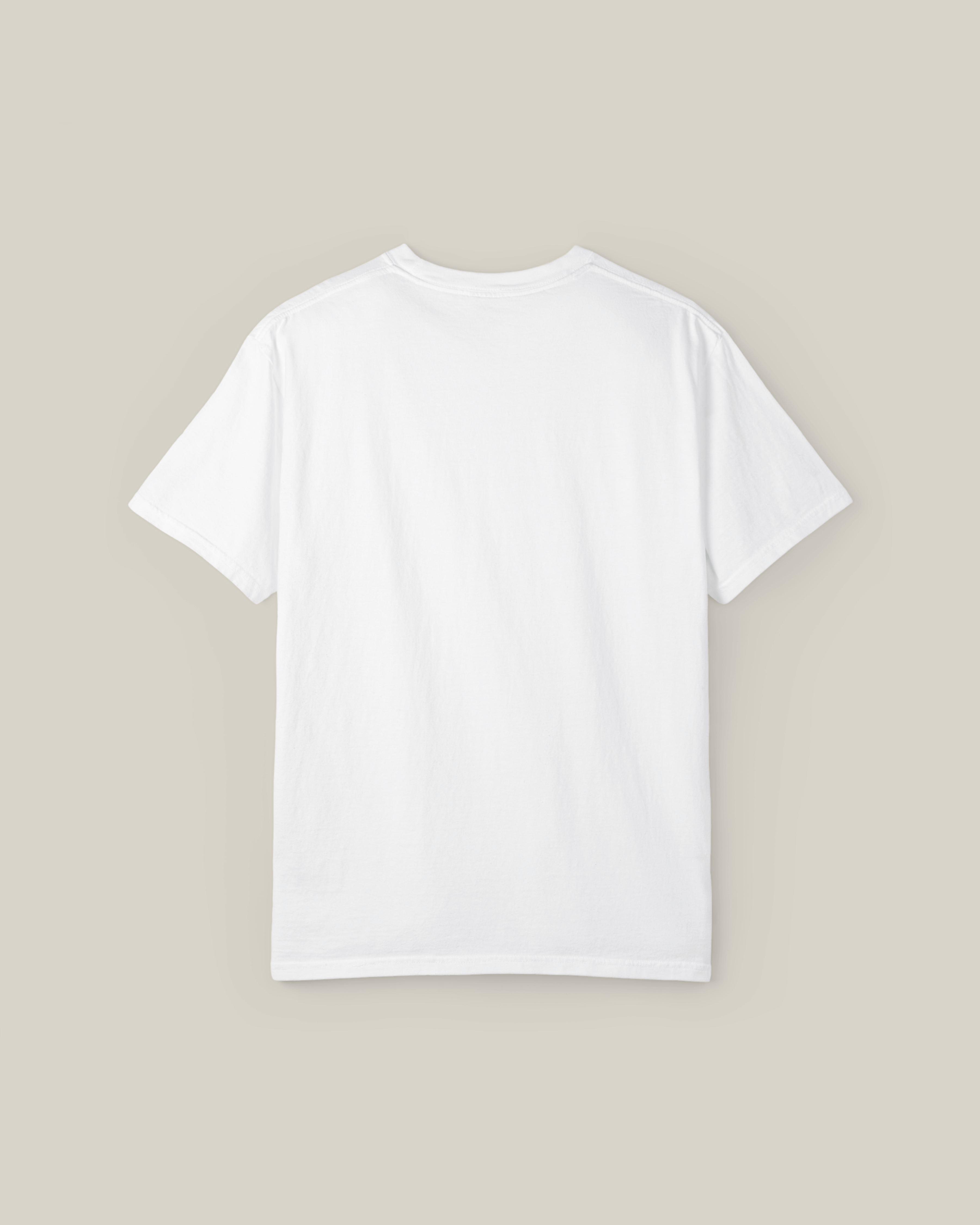 Back view of Taily Street Rebel graphic tee, a stylish streetwear graphic t-shirt in white.