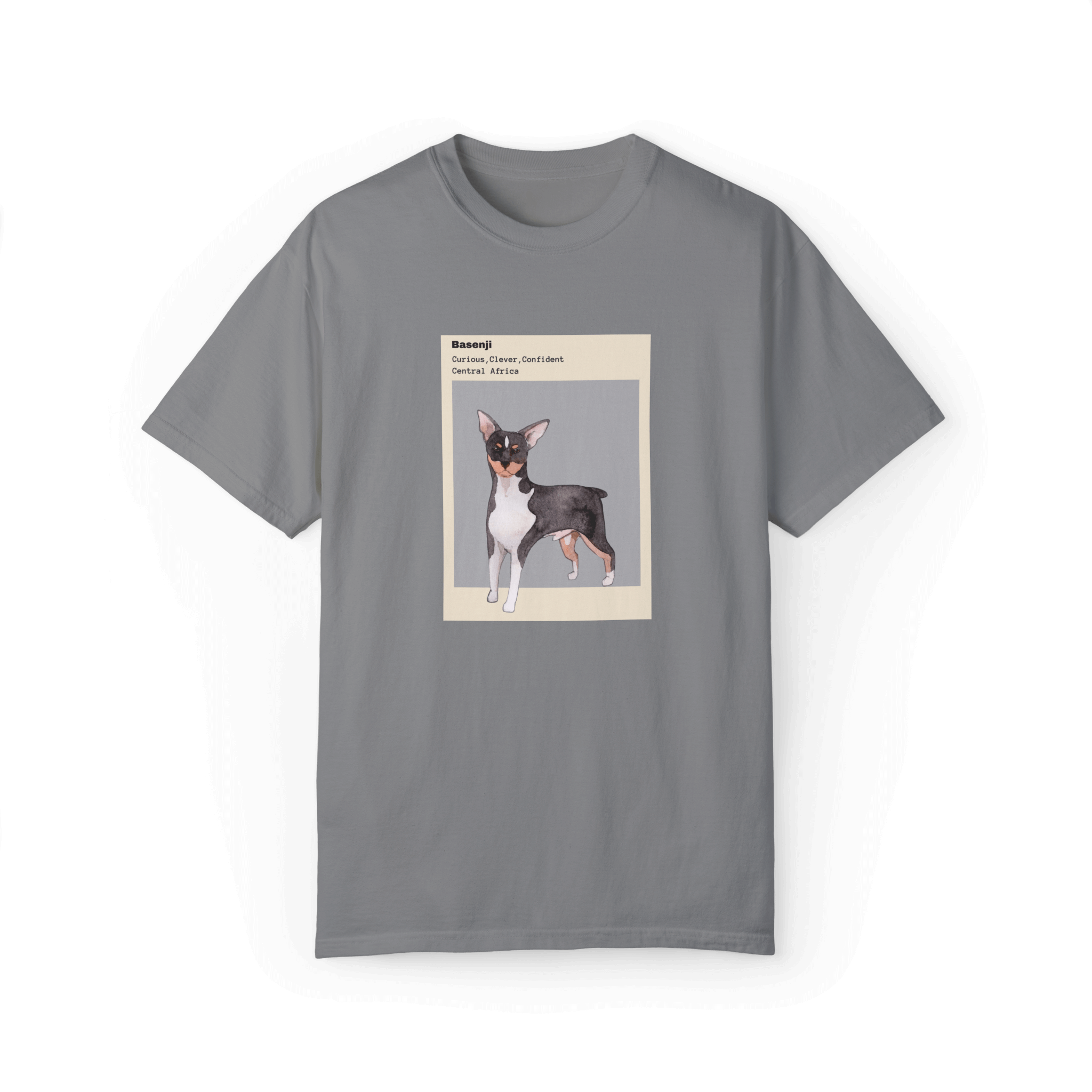 Gray T-shirt featuring a watercolor illustration of a Basenji dog with text describing its traits: 'Curious, Clever, Confident,' and its origin, 'Central Africa,' designed within a minimalist beige and gray frame.