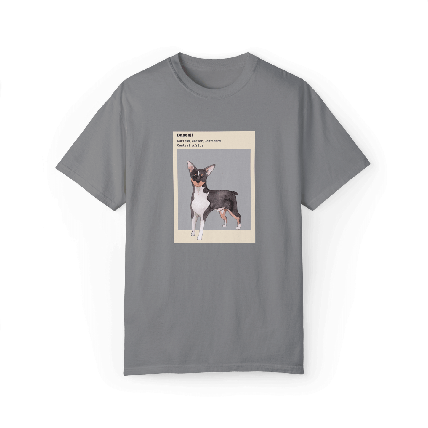 Gray T-shirt featuring a watercolor illustration of a Basenji dog with text describing its traits: 'Curious, Clever, Confident,' and its origin, 'Central Africa,' designed within a minimalist beige and gray frame.