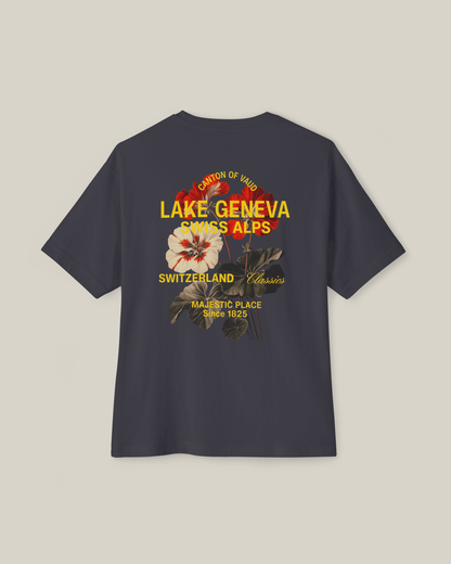 Taily Swiss Alps Vintage Boxy T-Shirt – Dark Grey