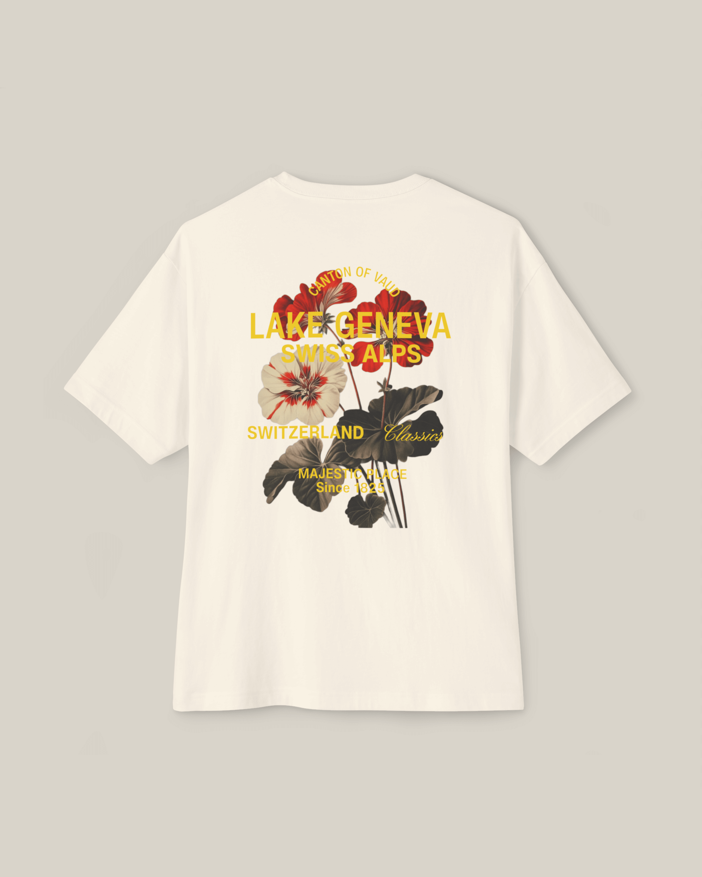Taily Swiss Alps Vintage Boxy T-Shirt – Natural
