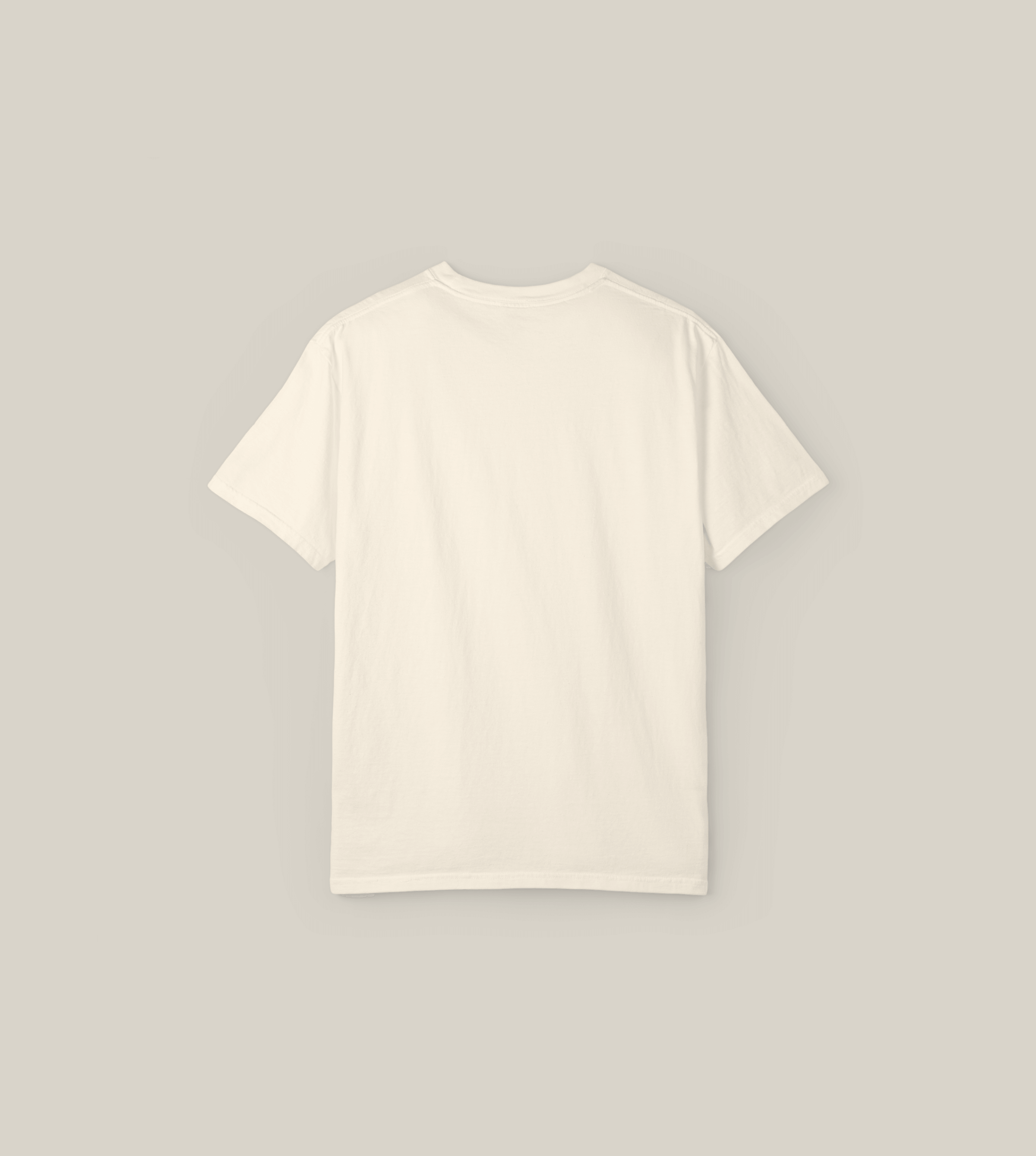Back view of Taily Loud Dreamer Ivory Graphic T-Shirt showcasing a simple design for casual streetwear.