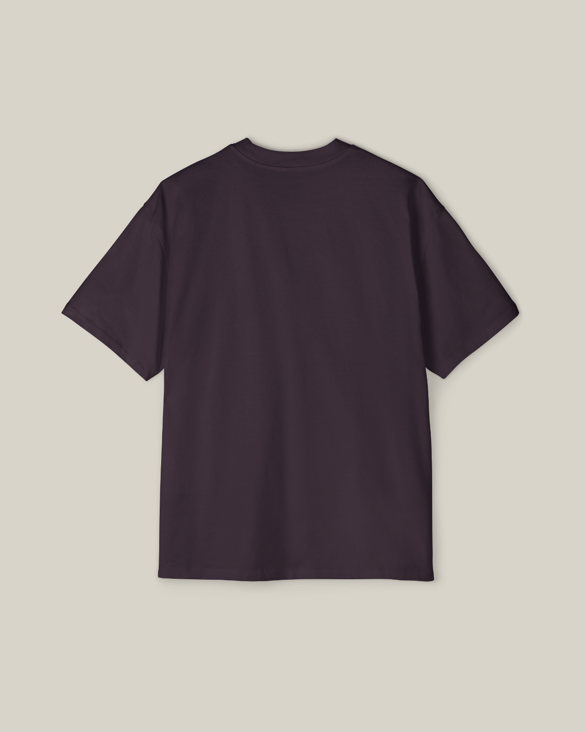 Back view of Taily Existence Streetwear Oversized T-Shirt in plum color.