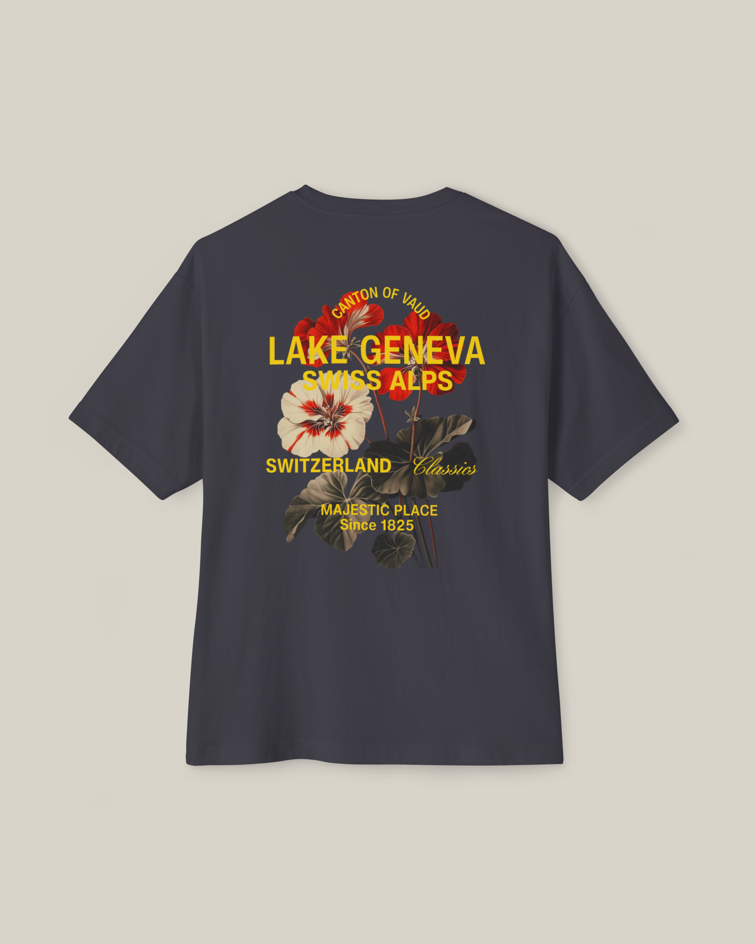 Taily Swiss Alps Vintage Boxy T-Shirt – Dark Grey