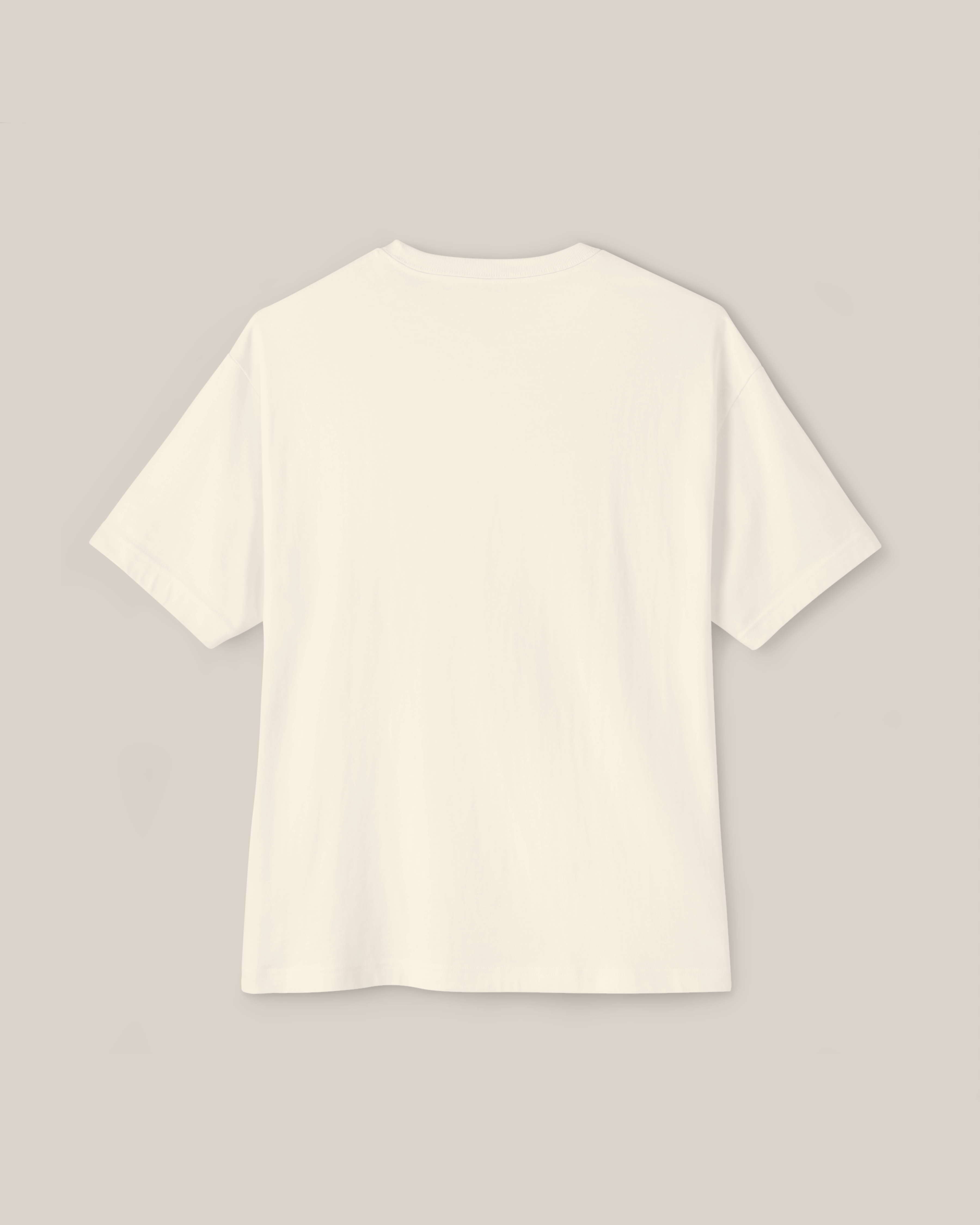 Back view of the Taily Bird Club Streetwear Boxy T-Shirt in natural color.