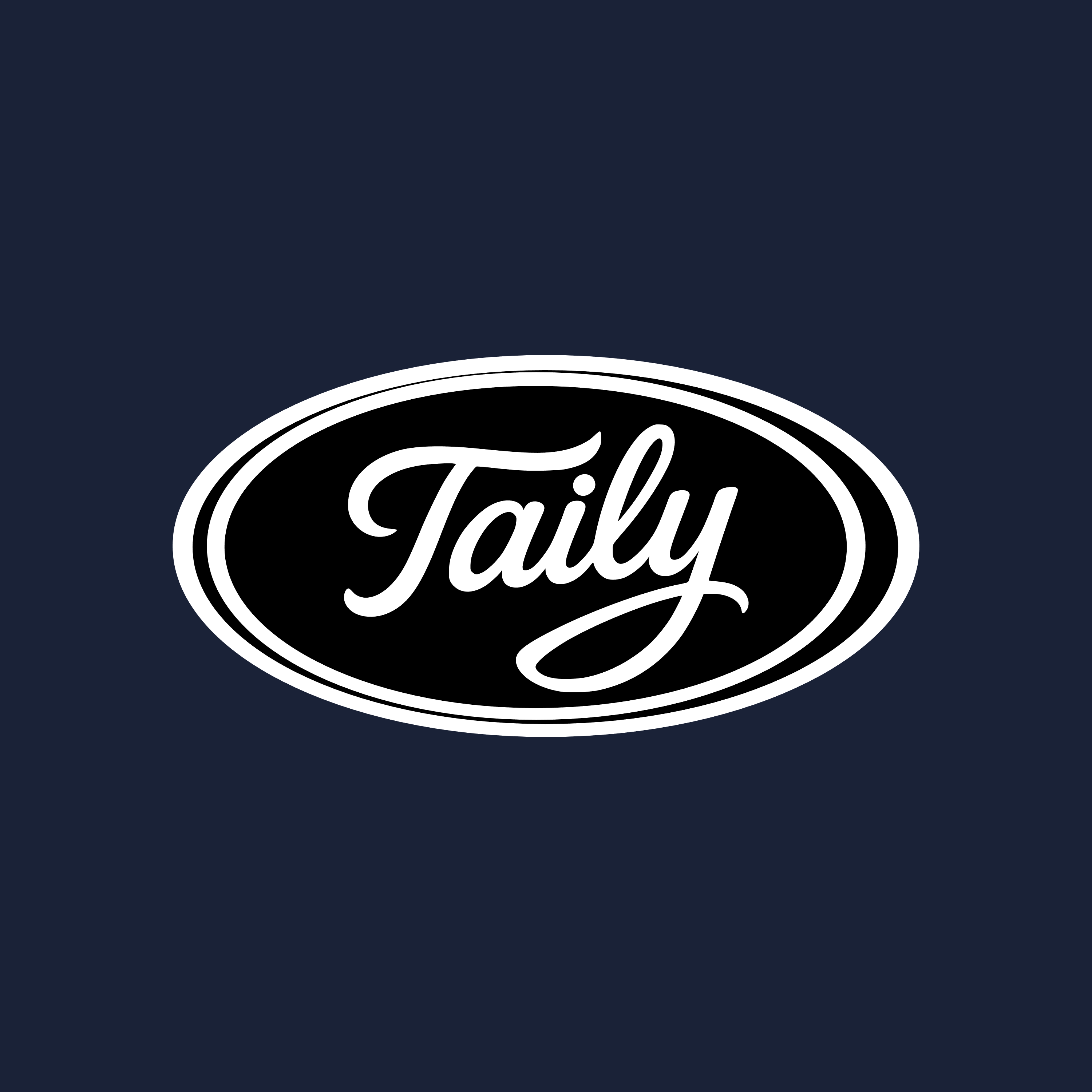 Taily Zip Hoodie – Classic Embroidered logo on navy background.