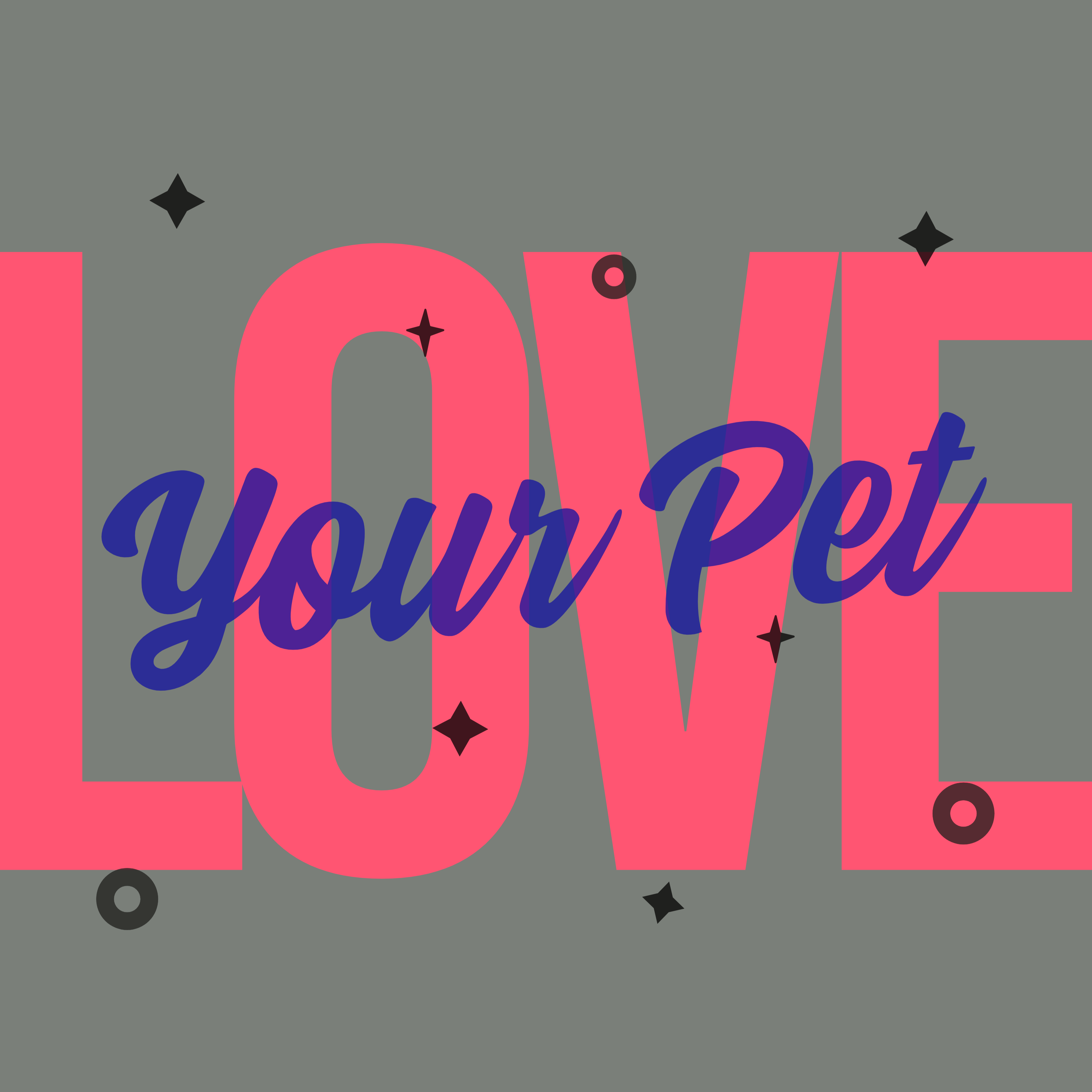 Typography design with the phrase 'Love Your Pet' featuring bold pink and blue text on a gray background, accented with small star graphics.