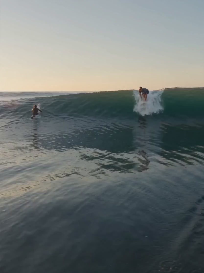 Load video: A surfer rides ocean waves, carving sharp turns and throwing spray under warm coastal light.