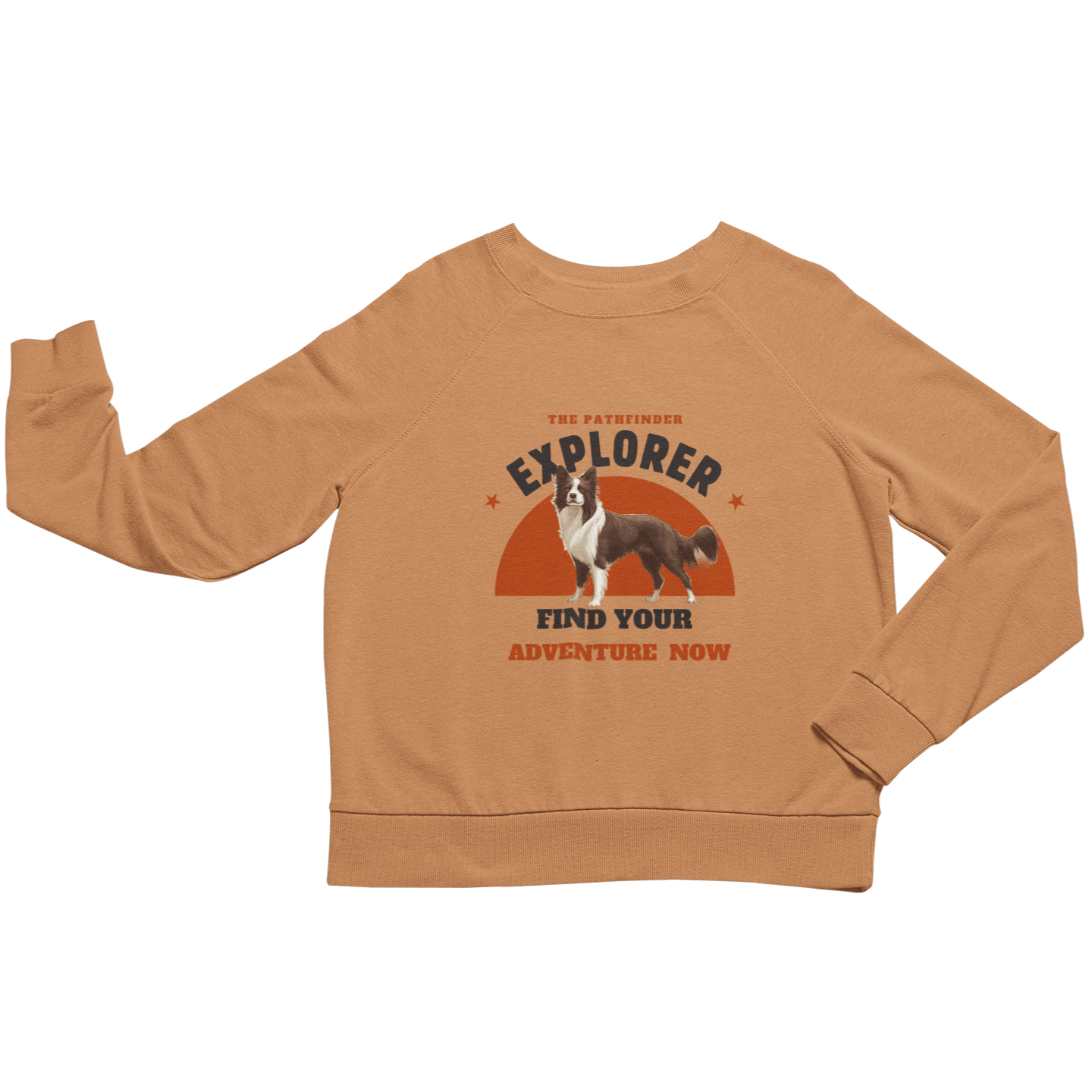 Border Collie Explorer Sweatshirt - Adventure Awaits