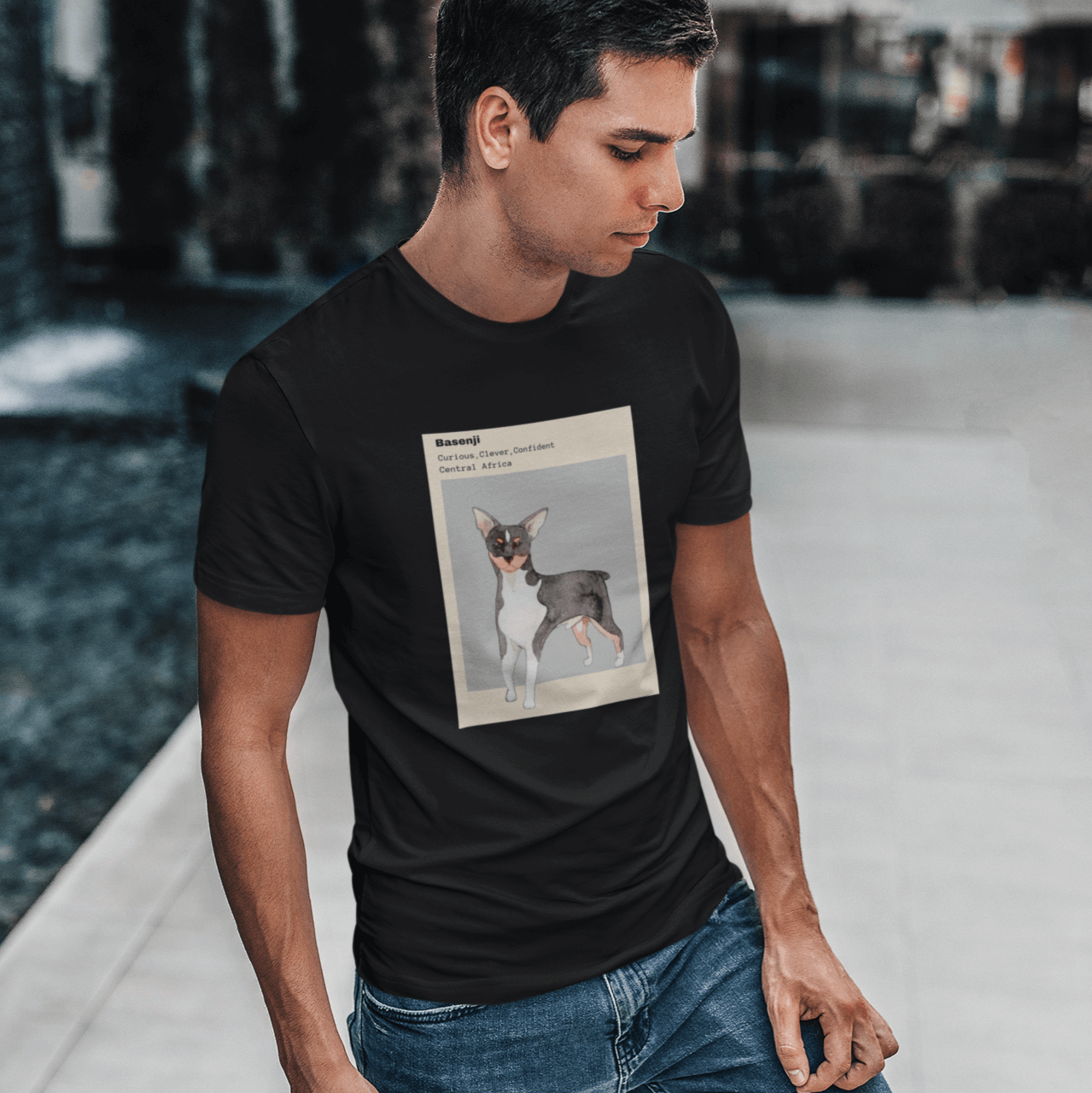 Black T-shirt with a watercolor illustration of a Basenji dog, featuring descriptive text about its traits—'Curious, Clever, Confident'—and its origin, 'Central Africa.' Worn by a man walking near a modern outdoor fountain.